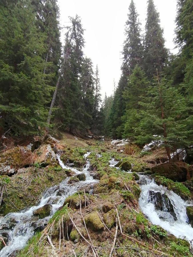 Petkovi Аpartments, Borovets Gardens - One-Bedroom And Two-Bedroom Apartments Exteriör bild