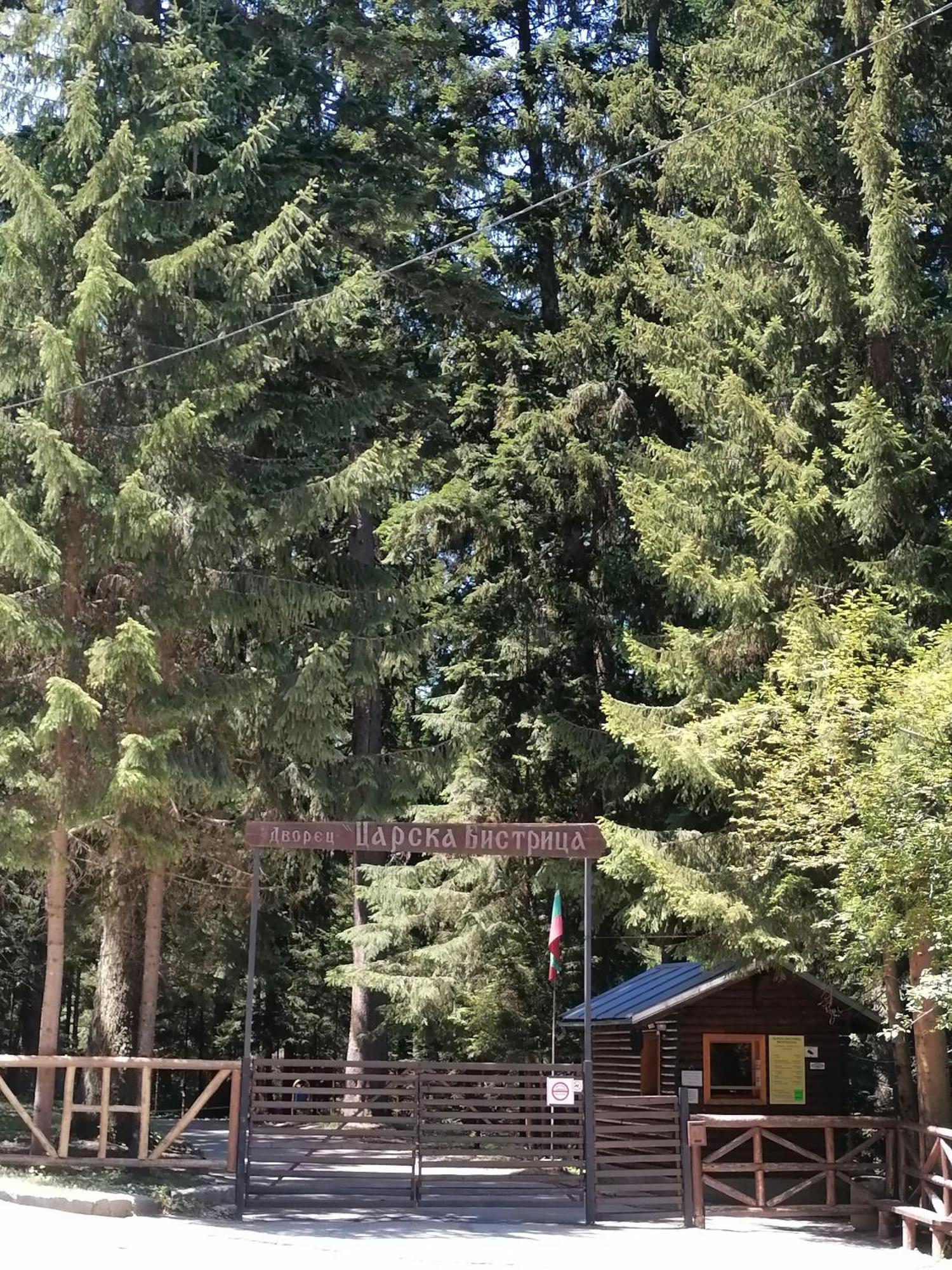 Petkovi Аpartments, Borovets Gardens - One-Bedroom And Two-Bedroom Apartments Exteriör bild